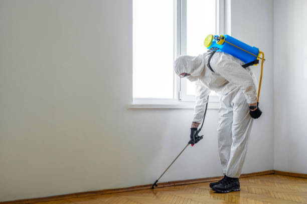 Best Pest Control Near Me in Commerce, CA