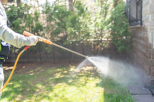 Best Affordable Pest Control Services  in Commerce, CA