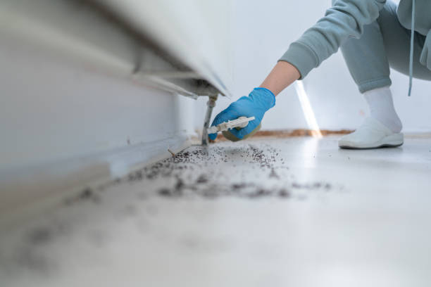 Best Commercial Pest Control Services  in Commerce, CA